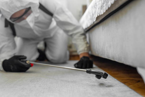 Professional Termite Control technician working in Live Oak, FL