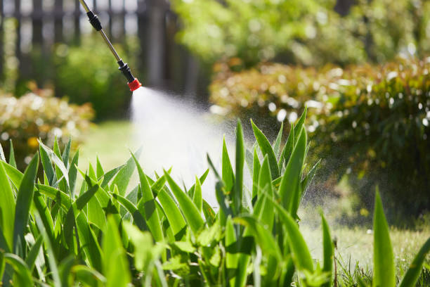 24/7 Emergency Termite Control experts in Live Oak, FL