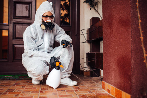 Reliable Termite Control contractor in Live Oak, FL by Nex Pest Control